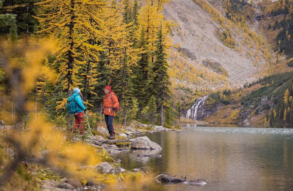 Two people stand on the edge of Taylor Lake in Banff National Park during larch season.